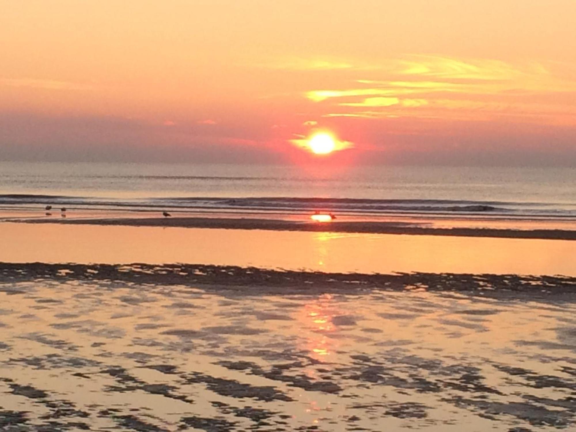 Noordzee Apartment *