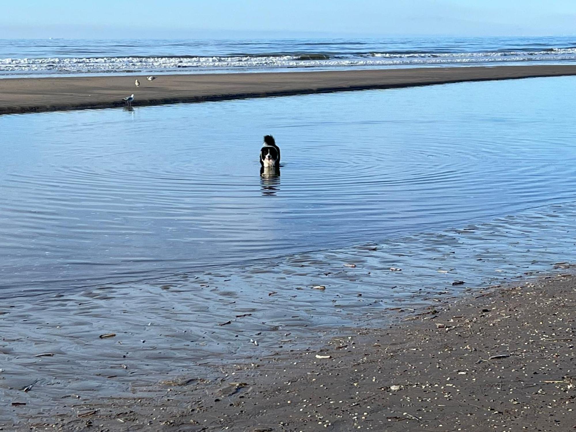 Noordzee *